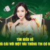 Nhà cái uy tín nhất Việt Nam gọi tên anh tài dwin68